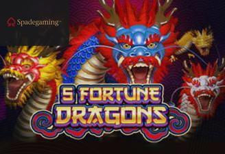 5 Fortune Dragons